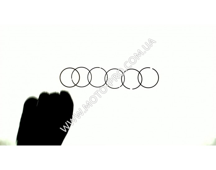 Кольца 1,00 (Ø53,40) SUNY (mod.B) (Delta 110cc)